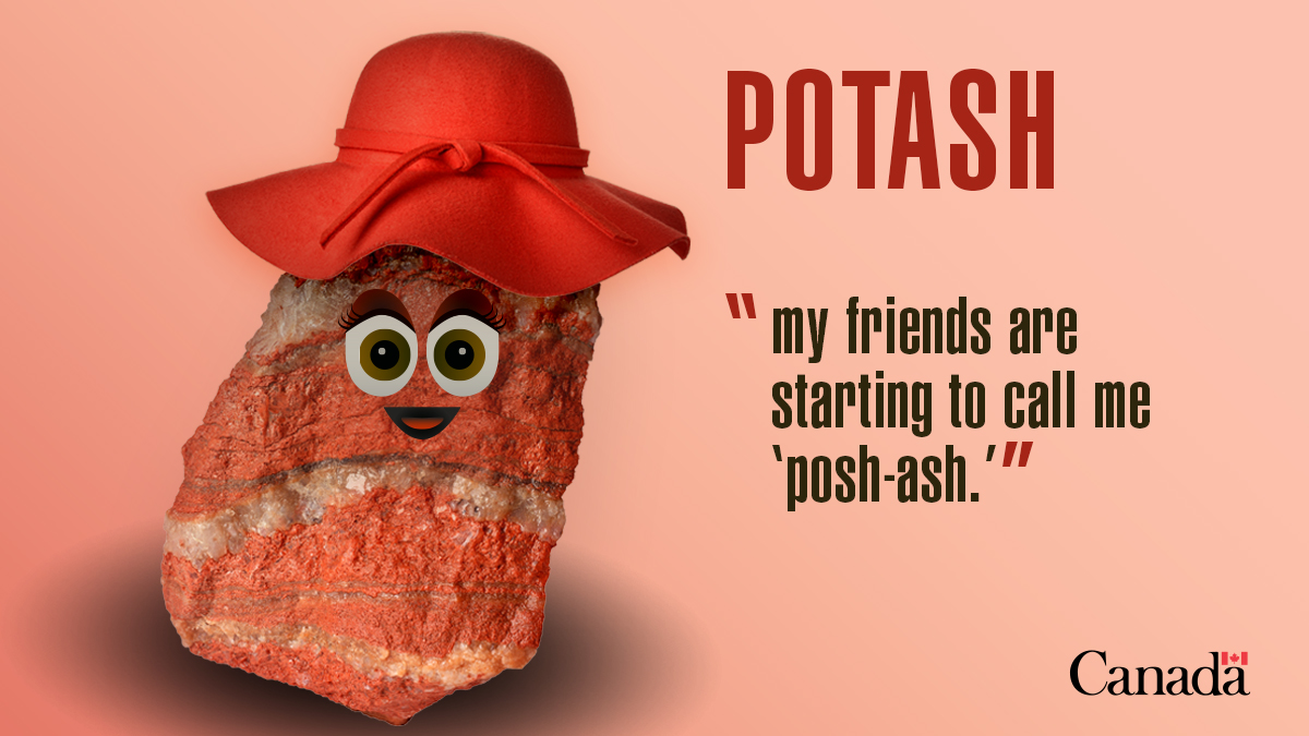 Potash: my friends are starting to call me 'posh-ash.
