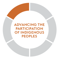 Advancing the participation of Indigenous Peoples